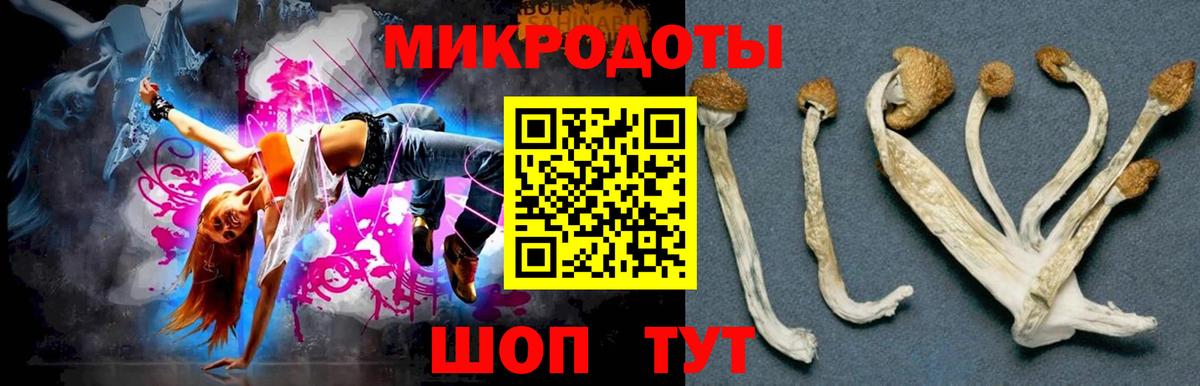 Псилоцибиновые грибы прущие грибы  Галлюциногенные грибы MAGIC MUSHROOMS  Вход с VPN  Саранск 
